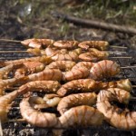 grilled shrimp